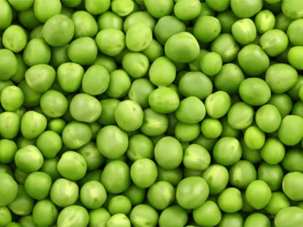 Green Peas (canned)